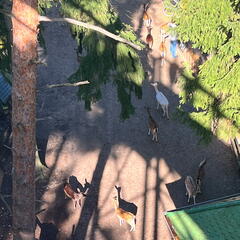 23-09-14 11-17-14 6860